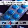 Männliche Seidenraupenmotte, Die Orale Flüssigkeit Nährt viagra1